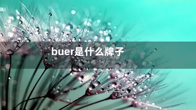 buer是什么牌子