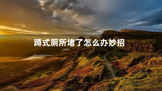 蹲式厕所堵了怎么办妙招