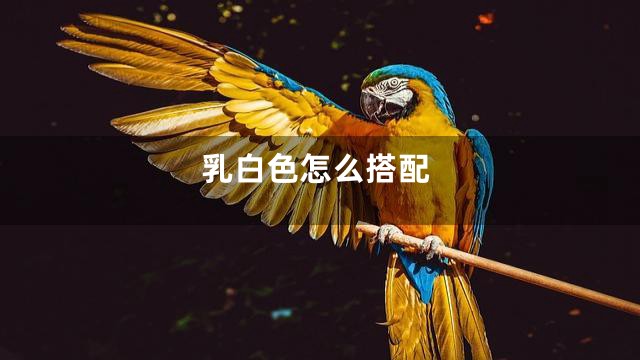 乳白色怎么搭配