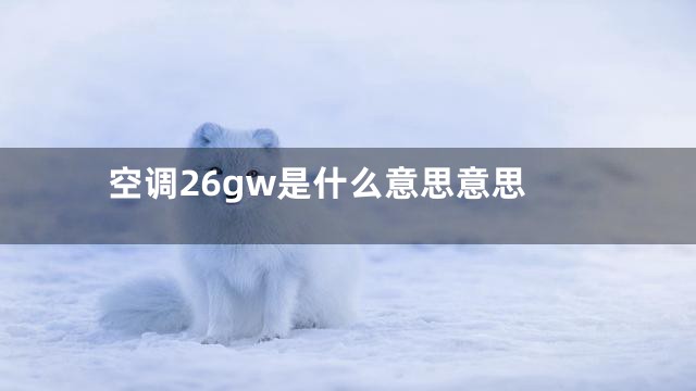 空调26gw是什么意思意思