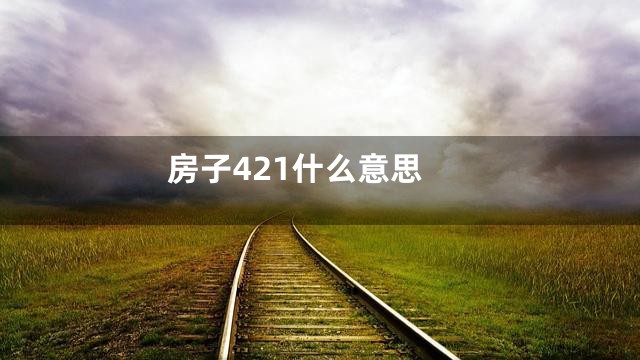 房子421什么意思