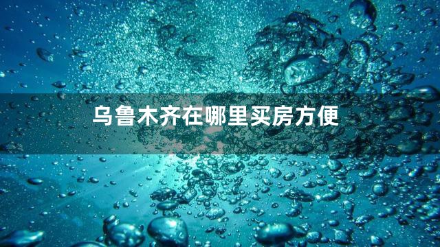乌鲁木齐在哪里买房方便