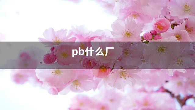 pb什么厂