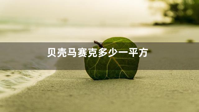 贝壳马赛克多少一平方