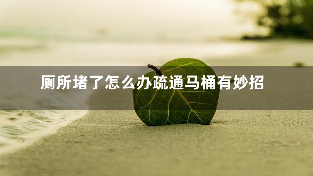 厕所堵了怎么办疏通马桶有妙招