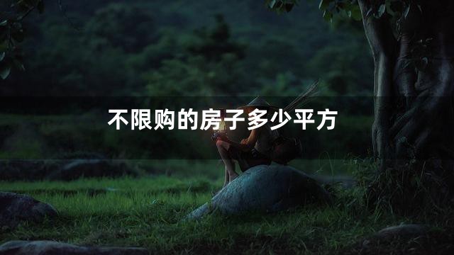 不限购的房子多少平方