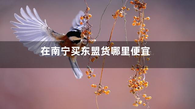 在南宁买东盟货哪里便宜