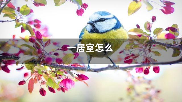 一居室怎么