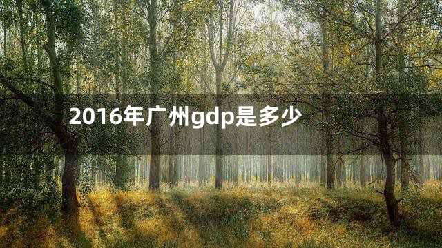 2016年广州gdp是多少