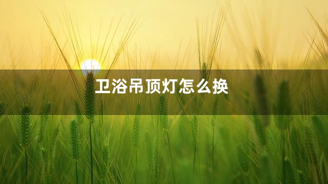 卫浴吊顶灯怎么换