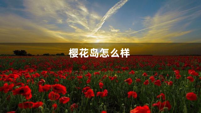 樱花岛怎么样