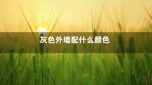 灰色外墙配什么颜色