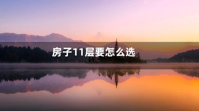 房子11层要怎么选