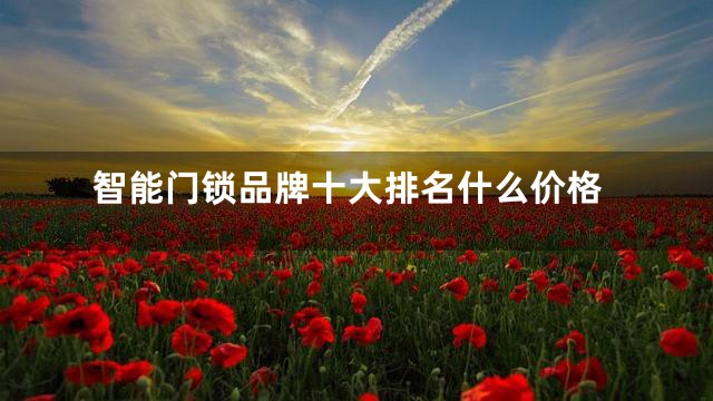 智能门锁品牌十大排名什么价格