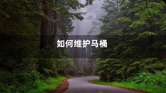 如何维护马桶