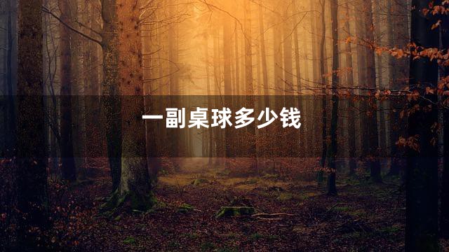一副桌球多少钱