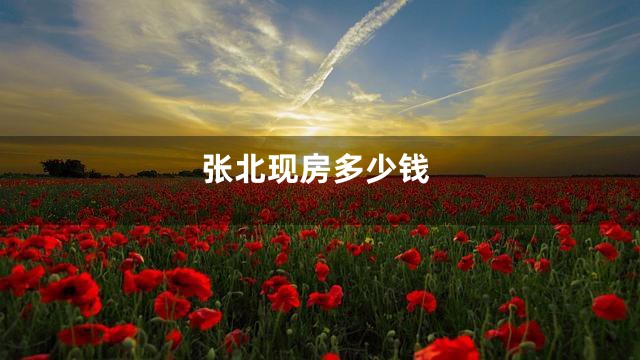 张北现房多少钱