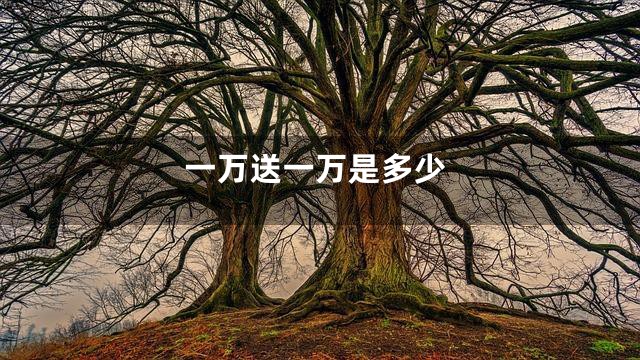 一万送一万是多少