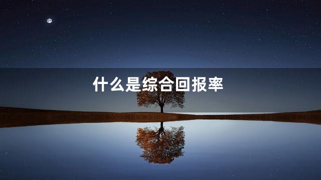 什么是综合回报率