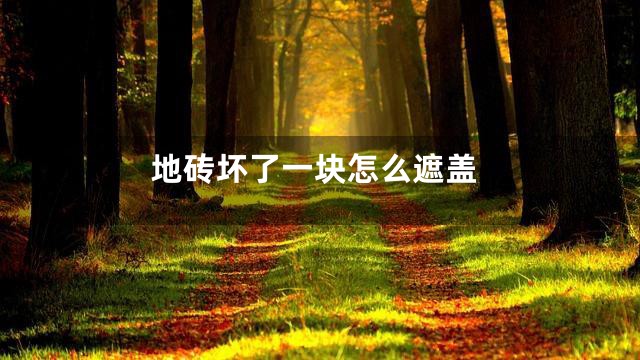 地砖坏了一块怎么遮盖