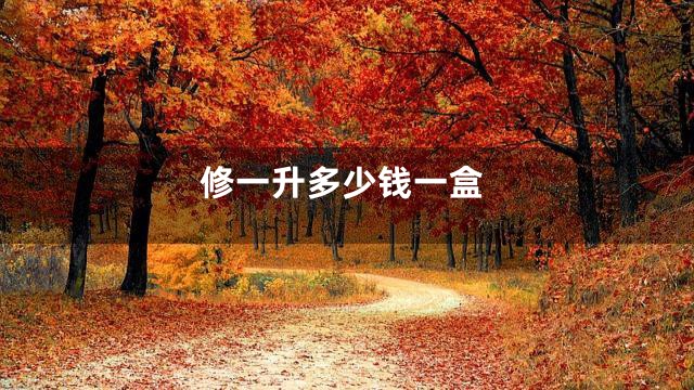 修一升多少钱一盒