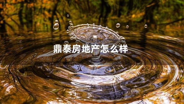 鼎泰房地产怎么样