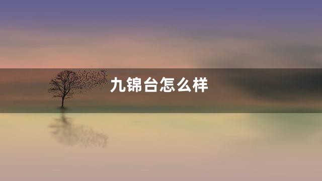 九锦台怎么样