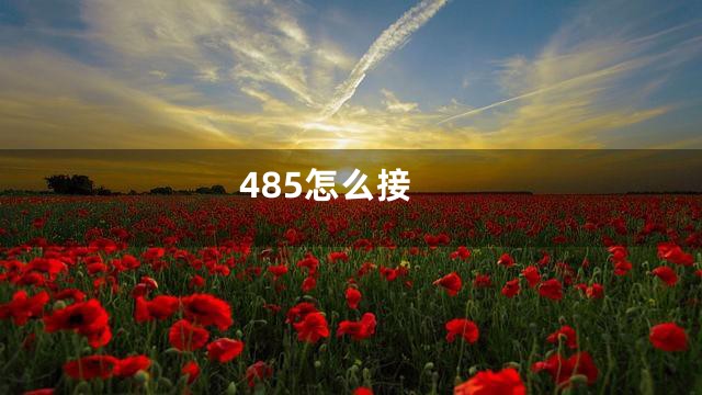 485怎么接