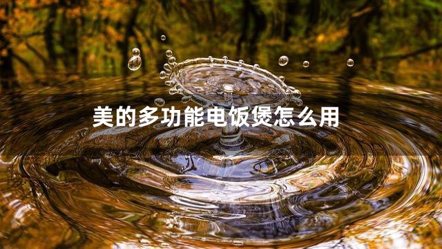 美的多功能电饭煲怎么用