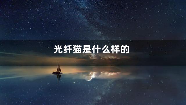 光纤猫是什么样的