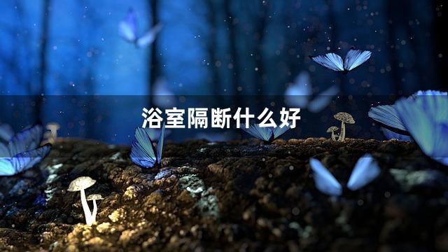 浴室隔断什么好