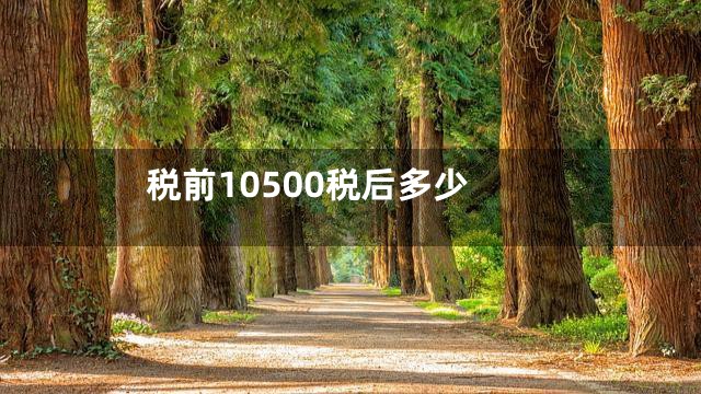 税前10500税后多少