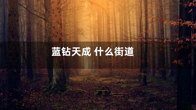 蓝钻天成 什么街道