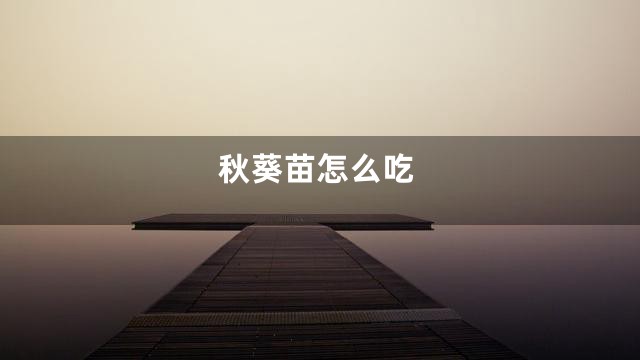 秋葵苗怎么吃