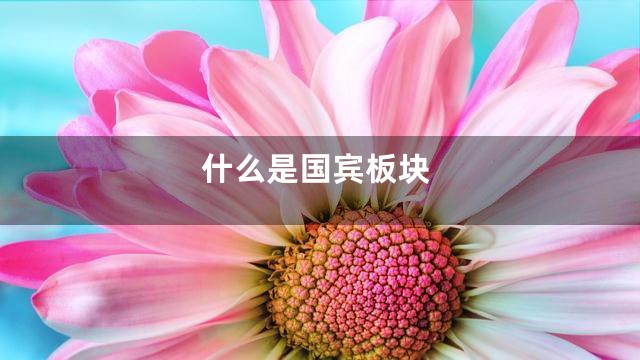 什么是国宾板块