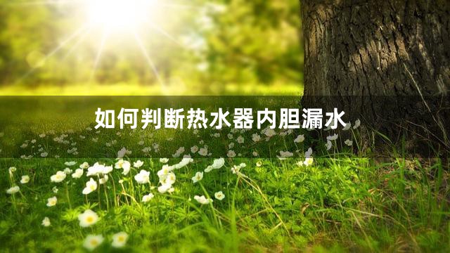 如何判断热水器内胆漏水