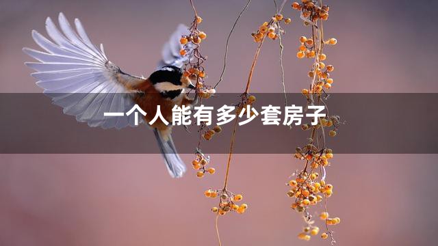 一个人能有多少套房子