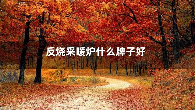 反烧采暖炉什么牌子好