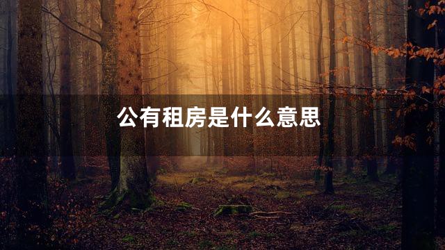 公有租房是什么意思