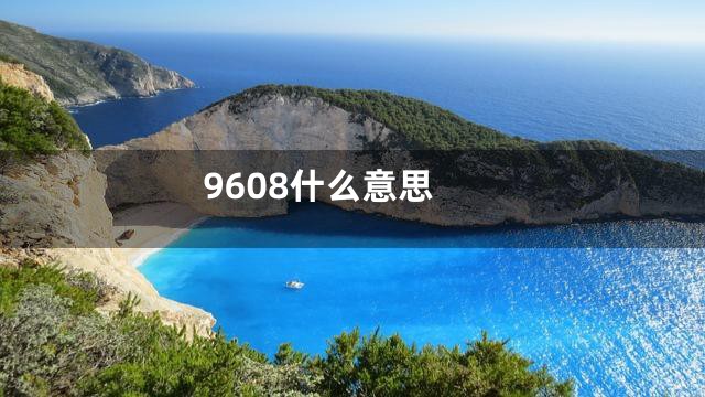 9608什么意思