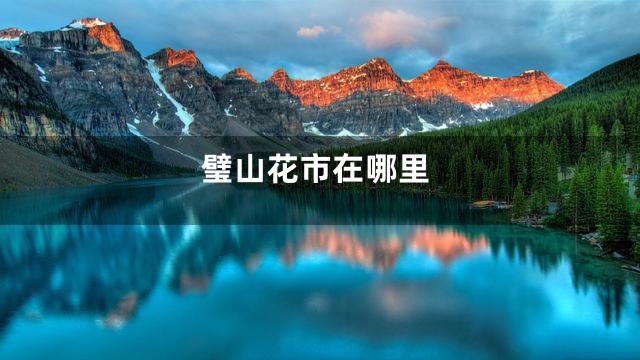 璧山花市在哪里