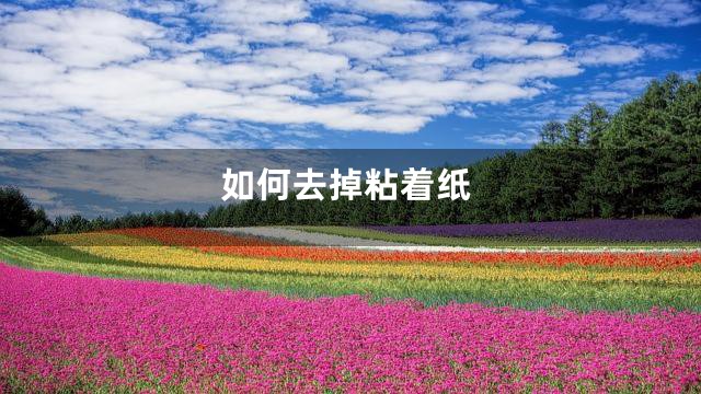如何去掉粘着纸