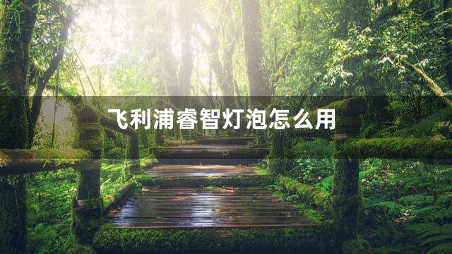 飞利浦睿智灯泡怎么用