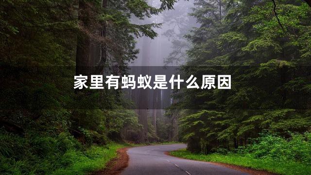 家里有蚂蚁是什么原因