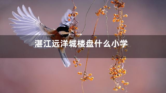 湛江远洋城楼盘什么小学