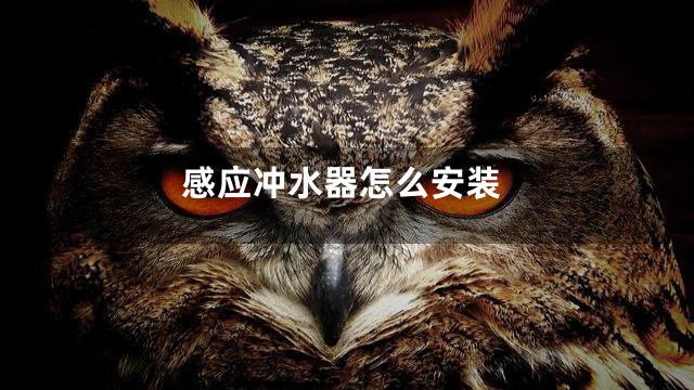 感应冲水器怎么安装