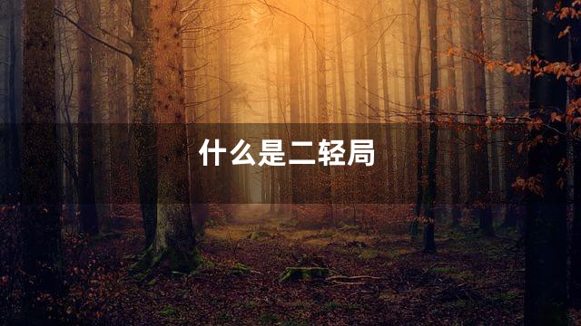 什么是二轻局