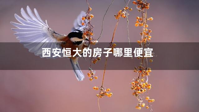 西安恒大的房子哪里便宜