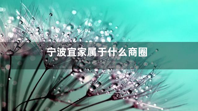 宁波宜家属于什么商圈