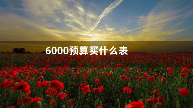 6000预算买什么表